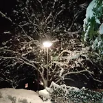 La Terrasse 226 *