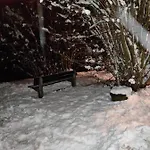 La Terrasse 226 *
