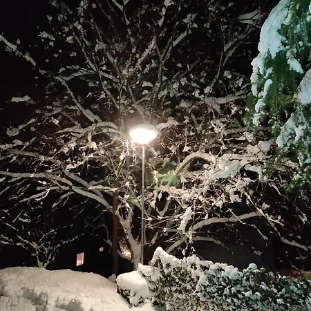 La Terrasse 226 *